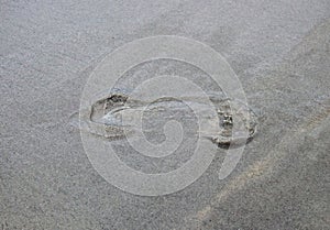 Footprint in sand