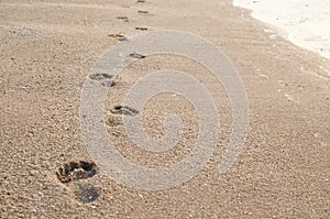 Footprint on sand