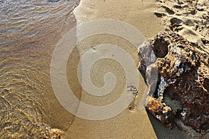 Footprint on the sand