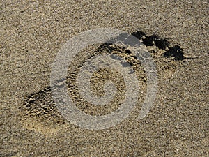 Footprint in the sand