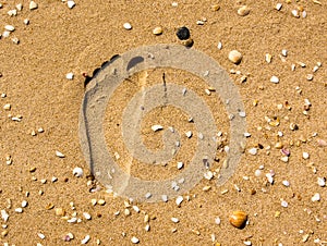 Footprint in the sand