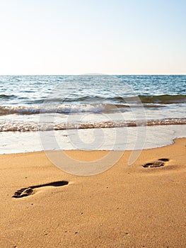 Footprint in the sand photo