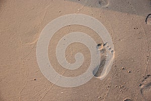 Footprint in the sand on a beach