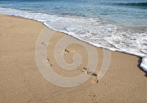 Footprint on sand in beach