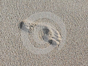 Footprint on sand beach background. Footprint on wet beach sand.