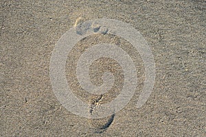 Footprint in the sand on the beach, textute, background