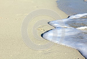 Footprint in the sand