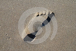 Footprint in the sand, Folkestone