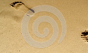 Footprint in sand. Foot imprint in sand on the beach in summer. Sandy beach background. Summer vacation on tropical paradise beach