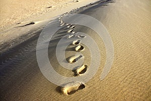 Footprint in sand of sahara desert