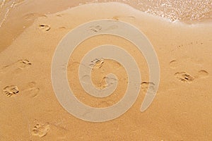 Footprint, sand, sea