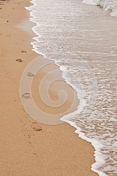 Footprint in the sand