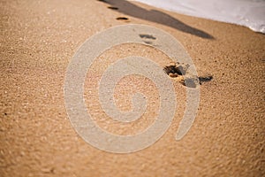 Footprint on the sand walking at sunset time