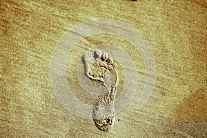 A footprint on the sand washed by the sea