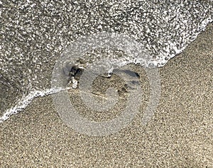 Footprint on sand washing out by sea wave close-up. People disappear concept