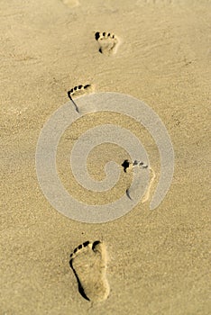 Footprint on a sandy beach