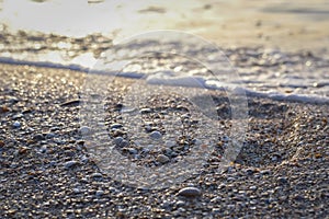 Footprint on the sea beach