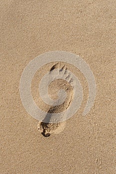 Footprint on a sea shore