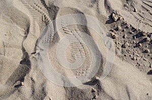 Footprint of shoes on dry sand