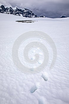 Footprint snow