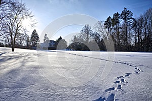 The footprint on the snow covering the park in the winter