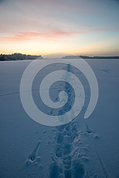 Footprint snow track at wintry field, sunset scenery