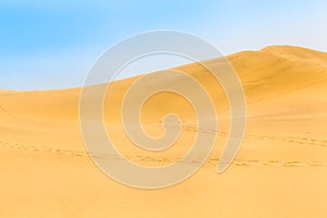 Footprint Tracks at Sand Dune