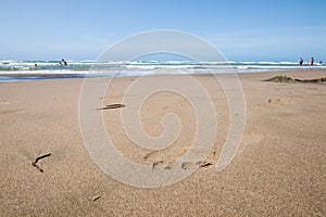 Footprint on wet sand, beach simbolic shape