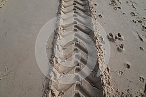 Footprint wheeled tractors on the sand at the beach