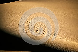 The footprint of wind in the lut desert