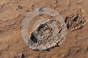 Footprint of a workboot in the mud after work