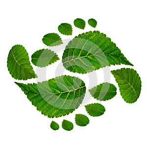 Footprint ying jang sign