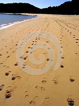 Footprints photo