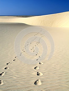 Footprints