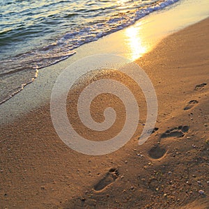 Footprints of an adult man and child on the sand on the beach at sunset