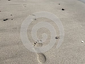 Footprints Along a Beach