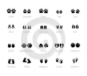 Footprints of animals