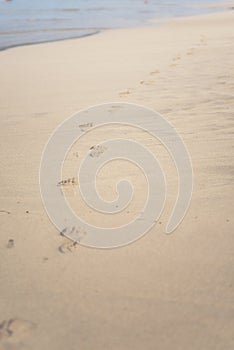 Footprints of bare feet in the sand on the beach