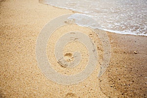 Footprints of bare feet on wet sand. Summer vacation on the beach. Walk along the sea shore