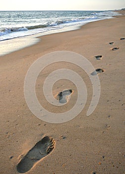 Pistas sobre el Playa 