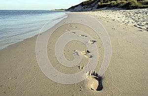 Brani sul Spiaggia 