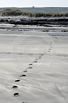 Footprints on the beach and ruins