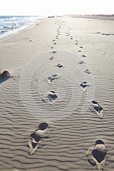 Stopy v pláž písek 