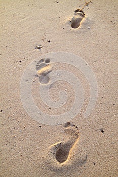 Footprints in the beach sand