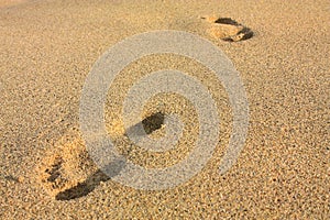 Footprints on a beach. Tayrona, Colombia photo