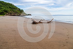 Footprints on the black sand of Playa Matapalo photo