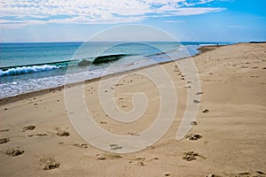 Footprints on a Cape Cod Beach photo