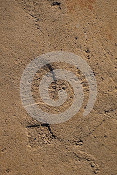 Footprints in concrete