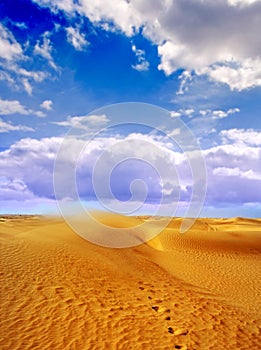 Footprints in desert