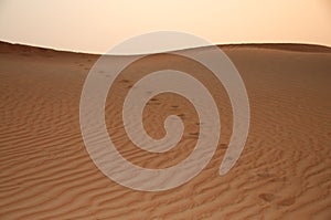 Footprints on a desert dune